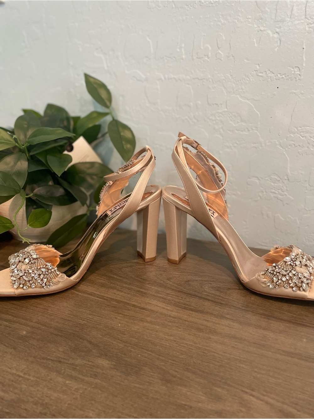 Badgley Mischka Embellished Blush High-Heel Formal Sandal - Picture 5 of 7